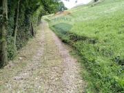 Terreno in vendita a Roncola BG