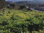 Terreno in vendita a Rosciano PE