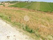Terreno in vendita a Roseto degli Abruzzi TE