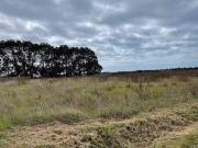 Terreno in vendita a Rosignano Marittimo LI