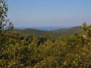 Terreno in vendita a Rosignano Marittimo LI