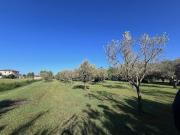 Terreno in vendita a Rosignano Marittimo LI