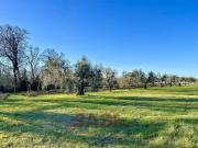 Terreno in vendita a Rosignano Marittimo LI