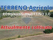 Terreno in vendita a Rosignano Marittimo LI