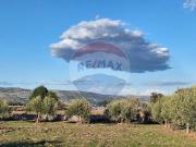 Terreno in vendita a Rosolini SR