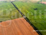 Terreno in vendita a Rovigo RO