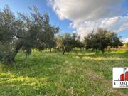 Terreno in vendita a Ruffano LE