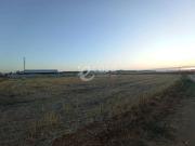 Terreno in vendita a Rutigliano BA