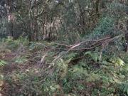 Terreno in vendita a Sabaudia LT