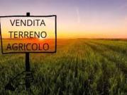 Terreno in vendita a Sala Bolognese BO