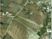 Terreno in vendita a Salemi TP