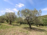 Terreno in vendita a Salisano RI
