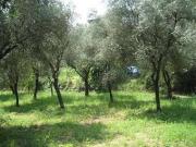 Terreno in vendita a Salò BS