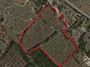 Terreno in vendita a Salve LE