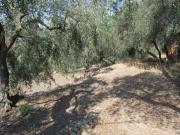 Terreno in vendita a San Bartolomeo al Mare IM