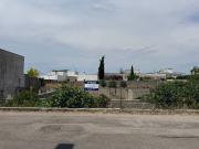 Terreno in vendita a San Cassiano LE