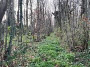 Terreno in vendita a San Cesareo RM