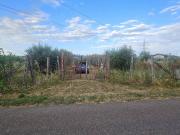 Terreno in vendita a San Cesareo RM