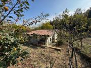 Terreno in vendita a San Colombano al Lambro MI
