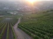 Terreno in vendita a San Damiano al Colle PV