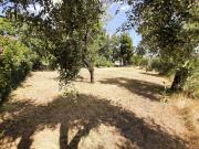 Terreno in vendita a San Felice del Benaco BS