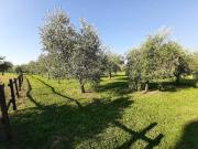 Terreno in vendita a San Felice del Benaco BS