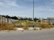 Terreno in vendita a San Ferdinando di Puglia BT