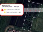 Terreno in vendita a San Giacomo delle Segnate MN