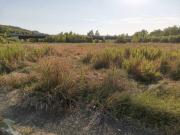 Terreno in vendita a San Gimignano SI
