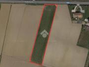 Terreno in vendita a San Giorgio in Bosco PD