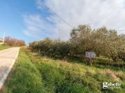 Terreno in vendita a San Giovanni in Marignano RN
