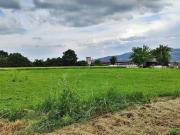 Terreno in vendita a San Giustino PG