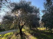 Terreno in vendita a San Lazzaro di Savena BO
