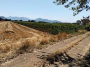 Terreno in vendita a San Marco Evangelista CE
