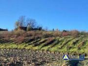 Terreno in vendita a San Miniato