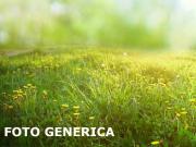 Terreno in vendita a San Miniato PI