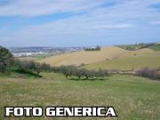 Terreno in vendita a San Miniato PI