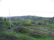 Terreno in vendita a San Miniato PI