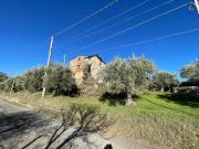 Terreno in vendita a San Pietro in Guarano CS