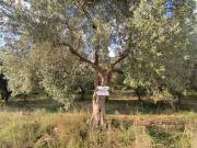 Terreno in vendita a San Pietro Infine CE