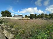 Terreno in vendita a San Pietro Vernotico BR