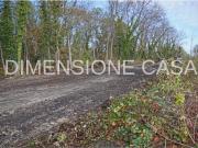 Terreno in vendita a San Prospero MO