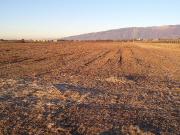 Terreno in vendita a San Quirino PN