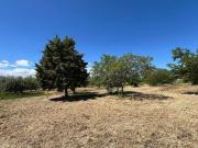 Terreno in vendita a San Salvo CH