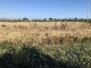 Terreno in vendita a San Salvo CH