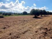 Terreno in vendita a San Vincenzo LI