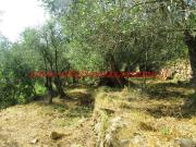 Terreno in vendita a Sanremo IM