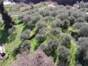 Terreno in vendita a Sanremo IM