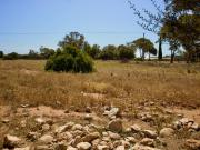 Terreno in vendita a Santa Croce Camerina RG