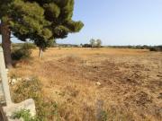 Terreno in vendita a Santa Croce Camerina RG